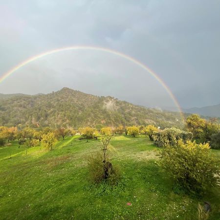 Вилла Revecca House Agios Mamas Экстерьер фото