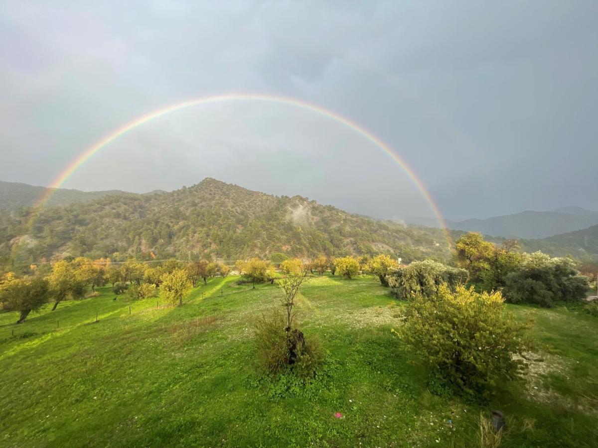 Вилла Revecca House Agios Mamas Экстерьер фото